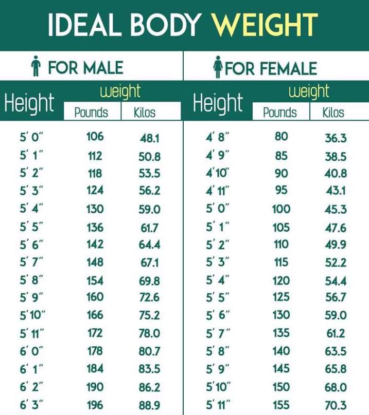 ideal body weight health calculator